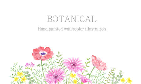 Watercolor illustration of flowersのイラスト素材