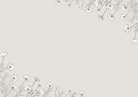 Line art frame of cosmos flowersのイラスト素材