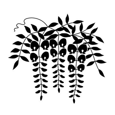 Silhouette illustration of wisteria flowersのイラスト素材