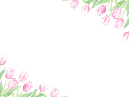 Tulip frame drawn in watercolorのイラスト素材