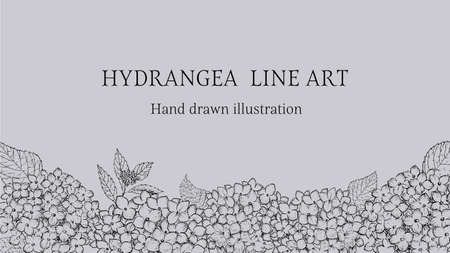 Hydrangea pen drawing frameのイラスト素材