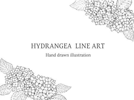 Hydrangea pen drawing frameのイラスト素材