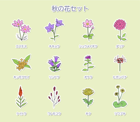 Autumn Flowers Illustration Setのイラスト素材