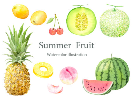 Watercolor illustration of summer fruits setの写真素材