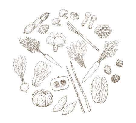 Vector illustration set of autumn and winter vegetables sketched with a penのイラスト素材