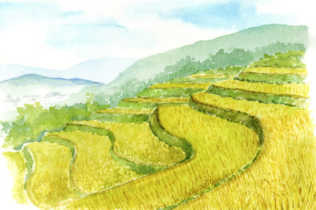 Watercolor painting of terraced rice field landscape in autumnの写真素材