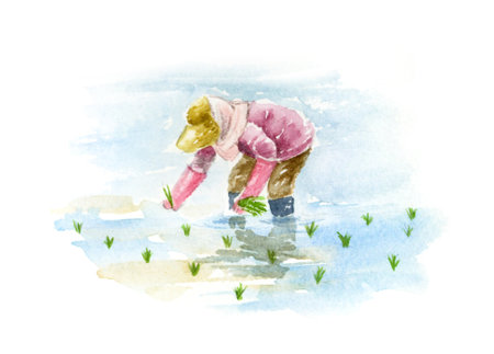 Watercolor painting of a woman rice plantingの写真素材