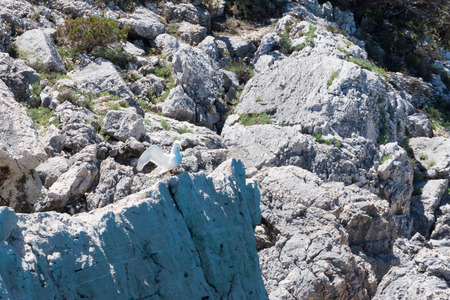 Costa Smeralda holidaysの写真素材