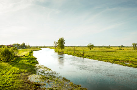 Narew river in Biebrza National Parkの写真素材