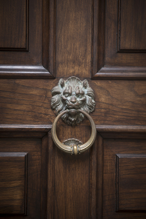 Lion relief - ornamental door knockerの写真素材