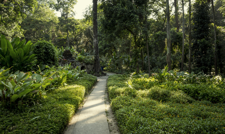 Parque lage in Rio de Janeiro, Brazilの写真素材