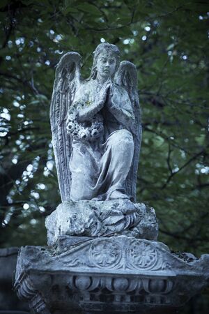 Angel stone statue on an old cemeteryの写真素材