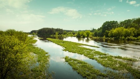Panorama of Biebrza river in Biebrza National Park, Poland