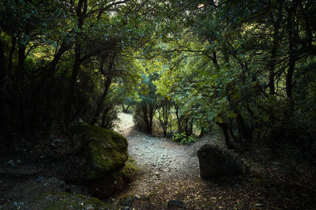 Hiking trail in Meteora, Greece