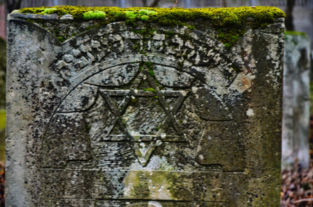 February 2, 2020. City of Zdolbunov. Rivne region. Ukraine.The old destroyed Jewish cemetery of Zdolbunowe.のeditorial素材