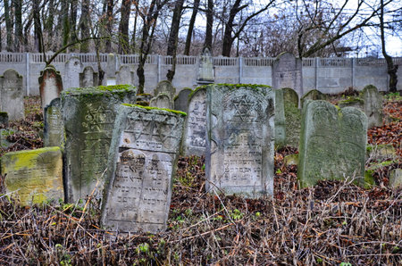 February 2, 2020. City of Zdolbunov. Rivne region. Ukraine.The old destroyed Jewish cemetery of Zdolbunowe.のeditorial素材