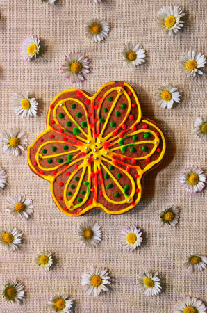 Ginger cookies lie on a bright background. Christmas sweetness. Decoration of chamomile flowers.