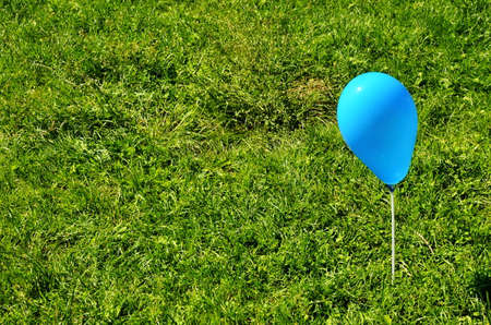 Outdoor party decoration concept - mix of colorful balloons on a green grass field and blue sky background with copy space (mixed).の写真素材