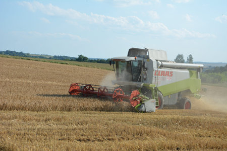 August. 2020. Rivne region. Zdolbunov. Ukraine.Harvesters harvest agricultural crops: wheat, rye,...