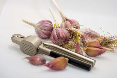 Garlic on a white background and a garlic press. Garlic grinding appliance.の写真素材