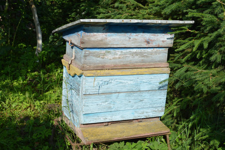 An apiary with old wooden hives in a rural garden