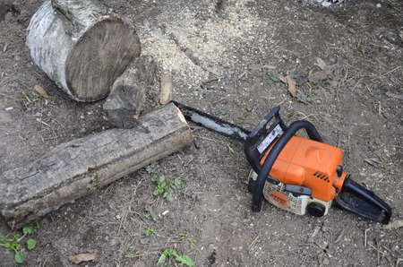 Lviv. Ukraine. April, 2021.A lumberjack chain saw lies on lumber. Sawn wood and chainsaw. Close-up. Concept is to bring down trees. A person using a chainsaw on pretty wood. Woodcutter saws tree with chainsaw on sawmillのeditorial素材