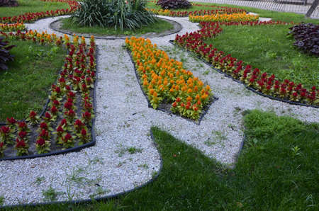 A full flower bed, containing pink, yellow, blue and orange flowers in a sidewalk. Lush flower beds in the summer garden. A bright sunny day.delightful flower bed in the summer parkの写真素材
