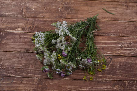 Collection of herbs, fresh garden herb on wooden background. Fresh scented organic herbs for cooking shot on rustic kitchen tableの写真素材