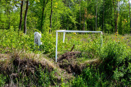 Large anthill in the forest with a wooden fenceの写真素材