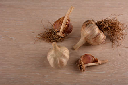 Garlic on a white background and a garlic press. Garlic grinding appliance.の写真素材