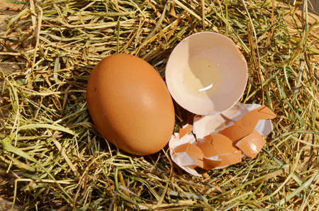 Vintage chicken, turkey and quail eggs in a wooden bowlの写真素材