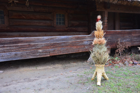 Didukh. Ukrainian Christmas decoration and traditional symbol. Made of straw of different cereals. Didukh literally means the spirit of ancestors.の写真素材