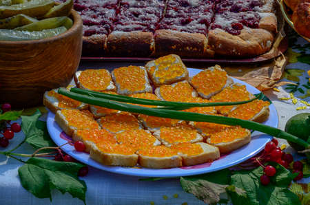 Delicious sandwiches with red caviar .Delicious sandwiches with red caviar .の写真素材