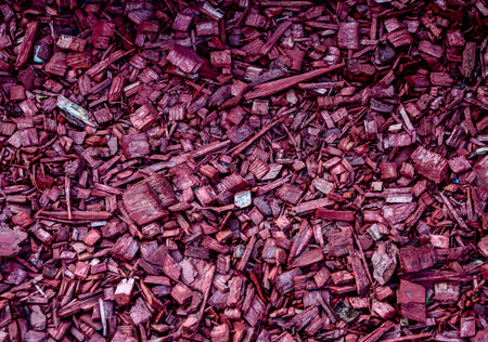Decorative painted pine mulch for mulching flowerbeds - close-up, selective focus.Painted wood chips for decorating and decorating flower beds and trees. Natural mulch for landscape design.の写真素材