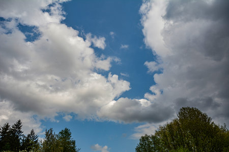 green field with trees and blue sky with clouds Sunny day, beautiful rural landscape .View up through the oak branches to the blue summer sky with clouds.の写真素材