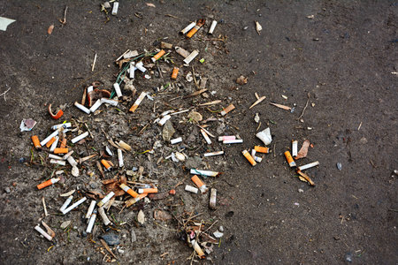 Cigarette butts discarded in ashtray .Close-up of cigarette butts lying on a grass lined walkway