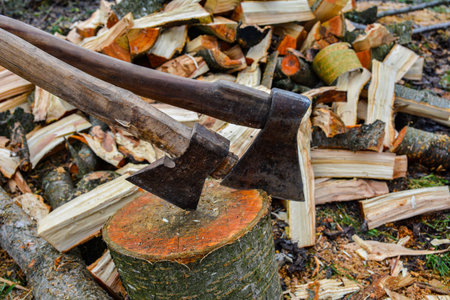 Massive ax stuck in a beech stub with wood blocks as background .Pile of firewood in a forest .Ax...