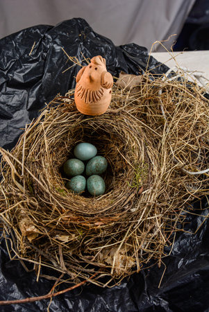 Nest with eggs. Turdus merula, Blackbird.blackbird (Turdus merula), blackbird nest with four eggs in a flowers box with geranium plants.の写真素材