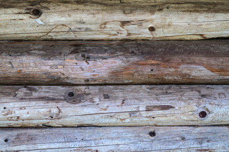Brown wood texture background coming from natural tree. The wooden panel has a beautiful dark...