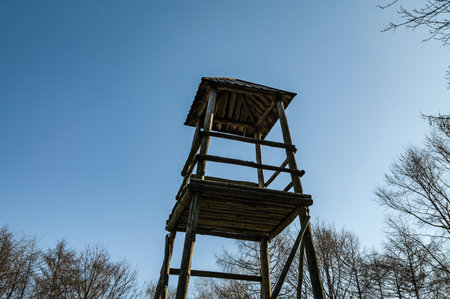 Wooden observation tower.Wooden observation tower in the forest.Wooden brown observation tower under the cloudy sky.の写真素材
