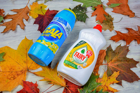 Lviv. Ukraine. 12 February 2024.The Fairy and Gala detergent logo on the bottles of dishwashing...