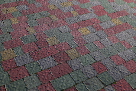 Colorful pavement on sunny day in public park. Colorful paving stones in urban park landscaping...