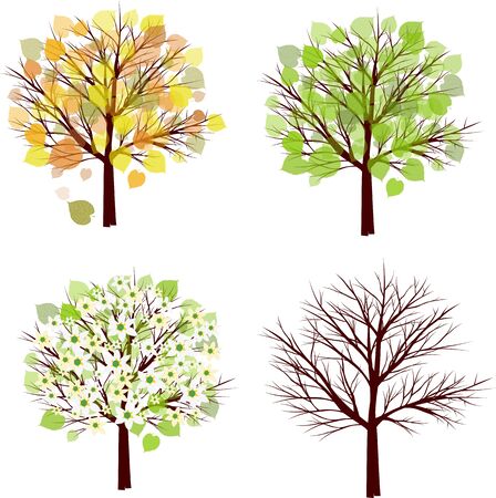 A tree in four different seasons. Set of four trees in different seasons, vector illustration.の写真素材