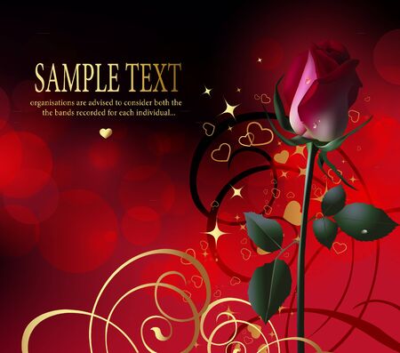 Rose on the dark backgroundの写真素材