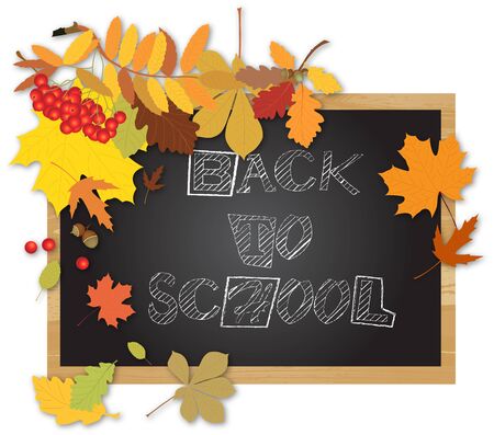 Back to school on a blackboard.の写真素材