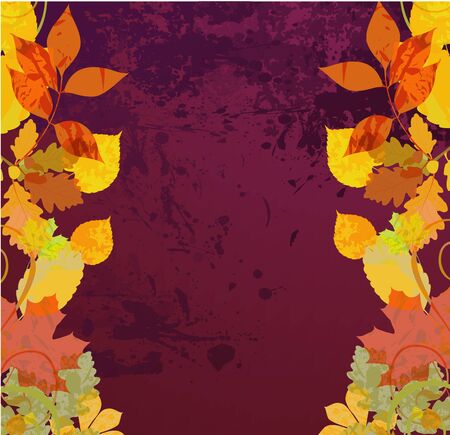 Autumn leaves background の写真素材