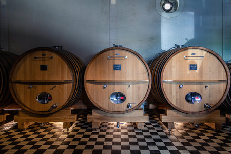 France Lyon 2019-06-21 stack of wooden barrels, aging, fermentation process, store in modern Brocard...