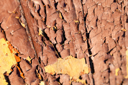 Macro yellow and brown cracked paint paint is severely weathered, damaged concrete rough texture on wooden wall. Peeling paint on wall seamless texture. Pattern of a rustic blue grunge materialの写真素材