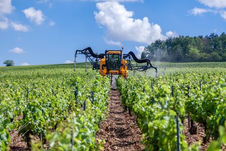 France Chablis 2019-06-21 Orange tractor spraying vineyard with sulfurのeditorial素材