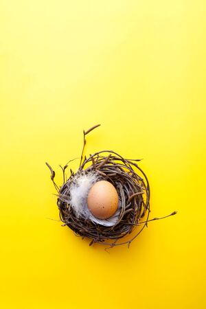 Easter egg in nest on yellow backgroundの写真素材